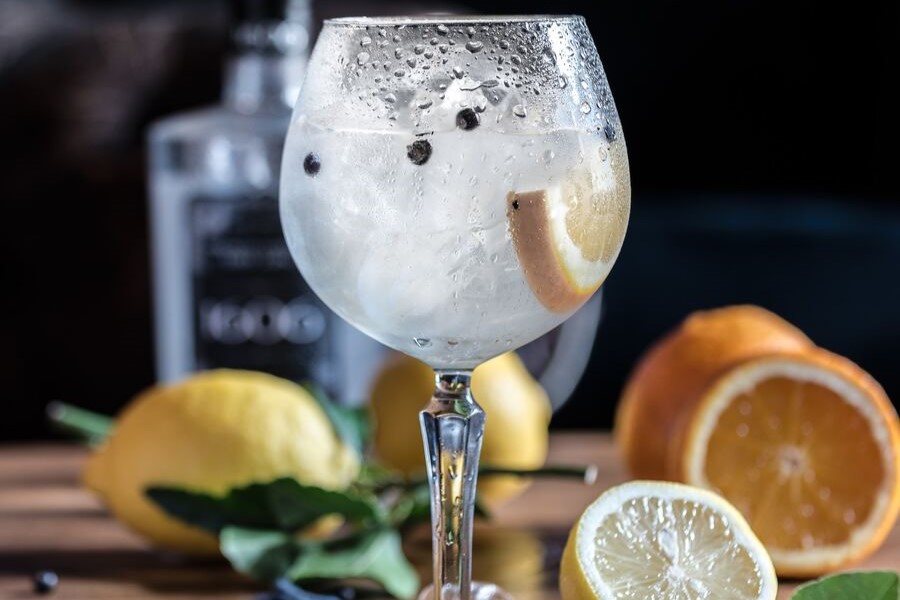 Gin and Tonic Cocktail