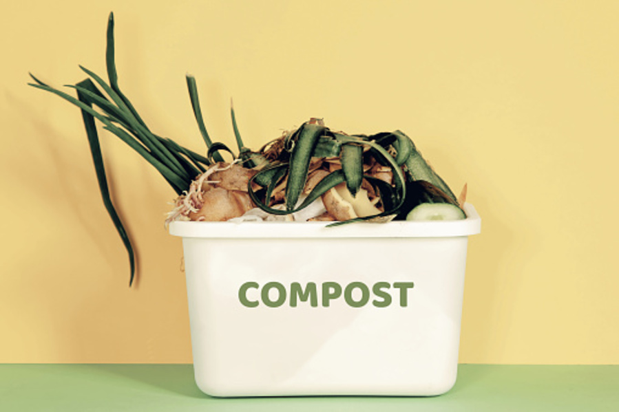 Recycle and compost
