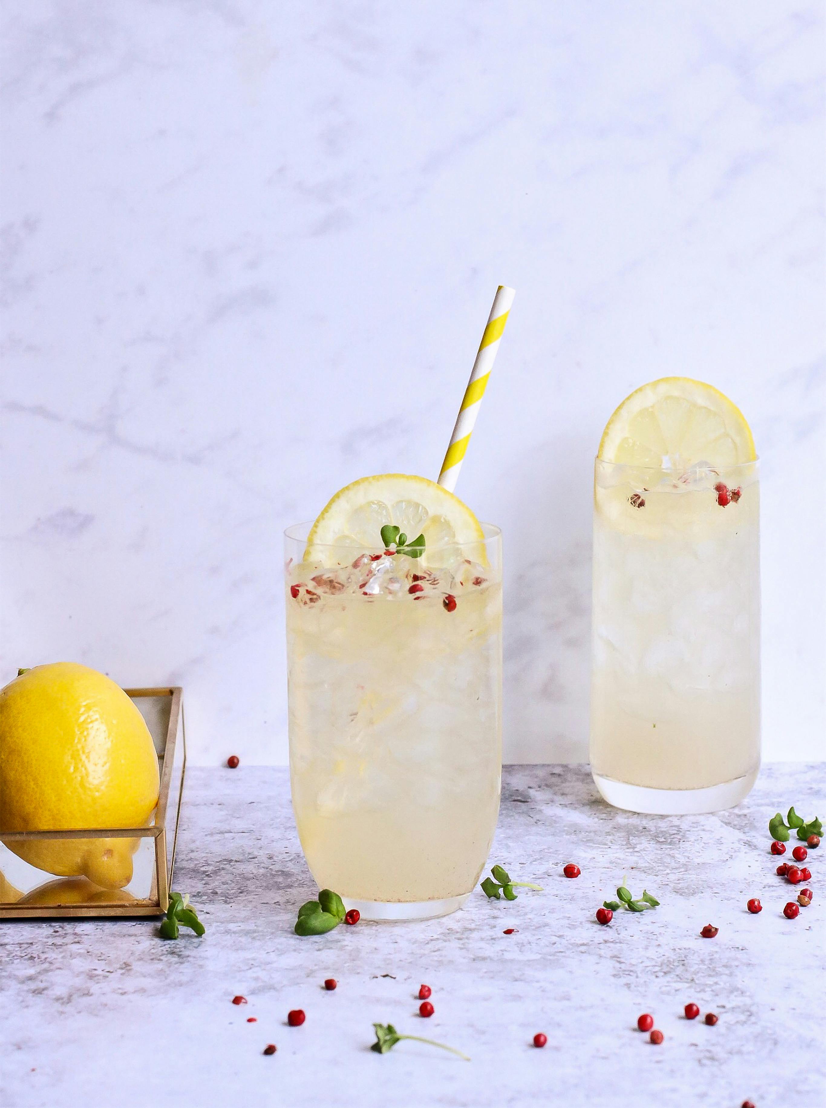 5 Refreshing Lemonade Spritzers Best Suited For Summertime Sips