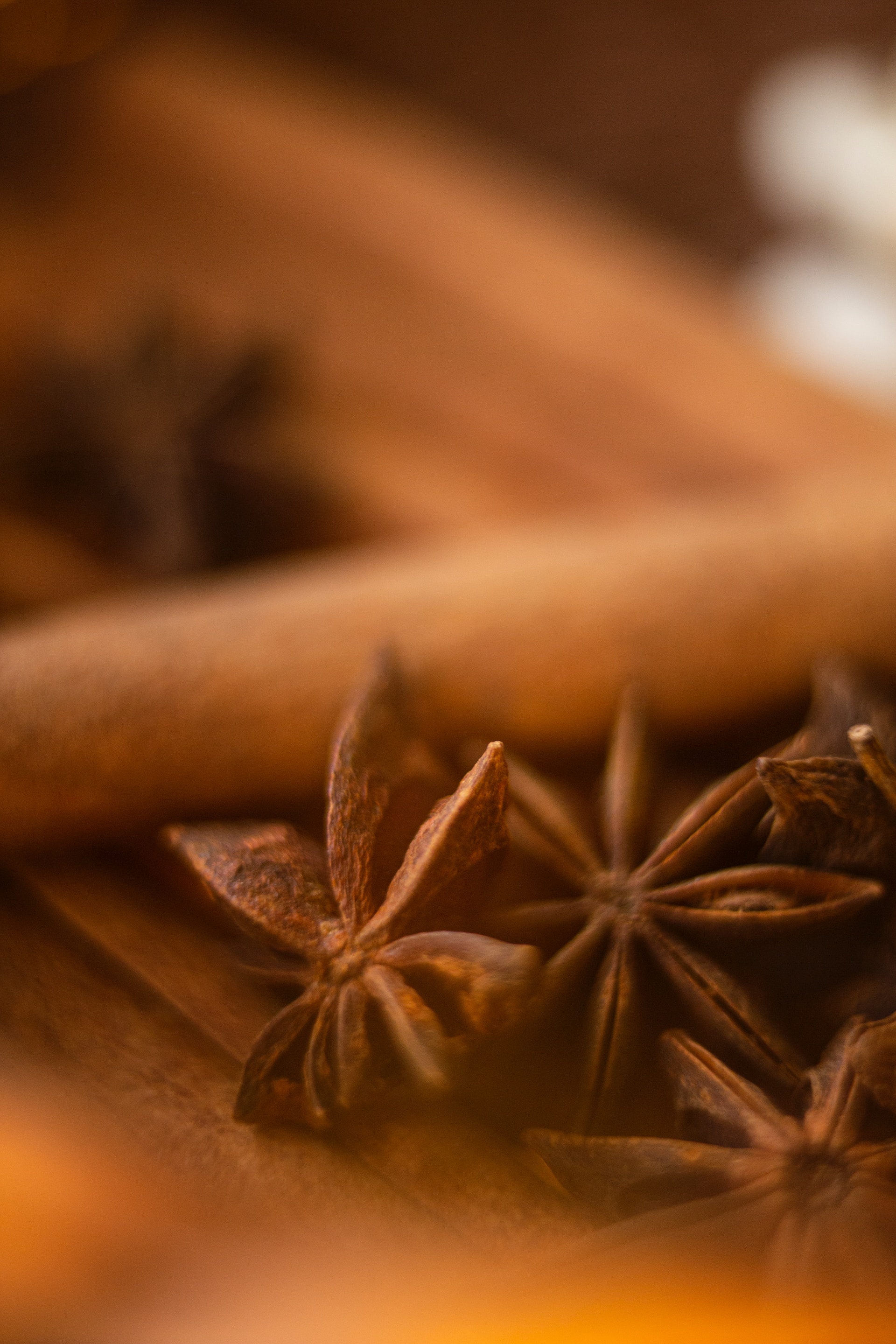 star anise and cinnamon