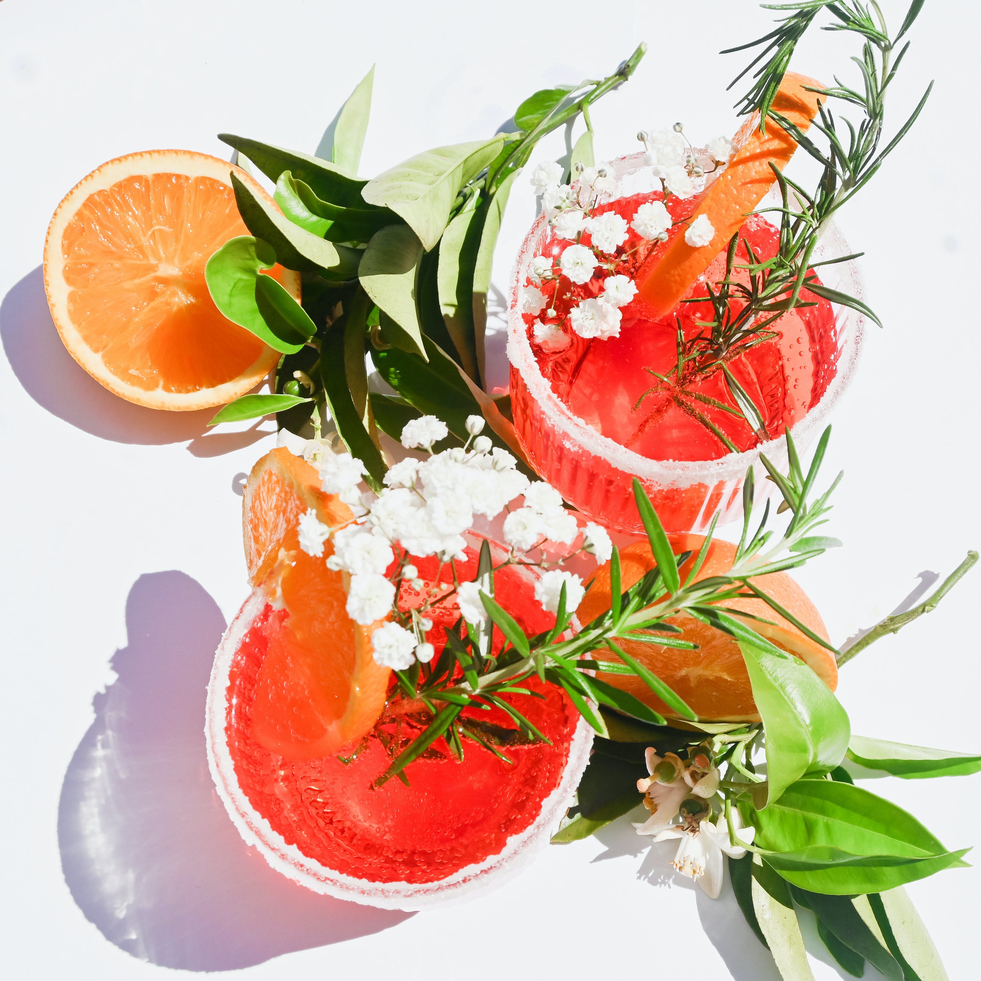 11 Edible Flowers for Cocktail Garnishes