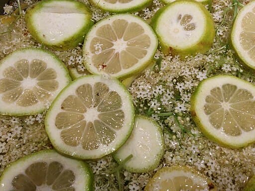 These Elderflower Infusions Will Help You Enhance Your Favourite Spirits 