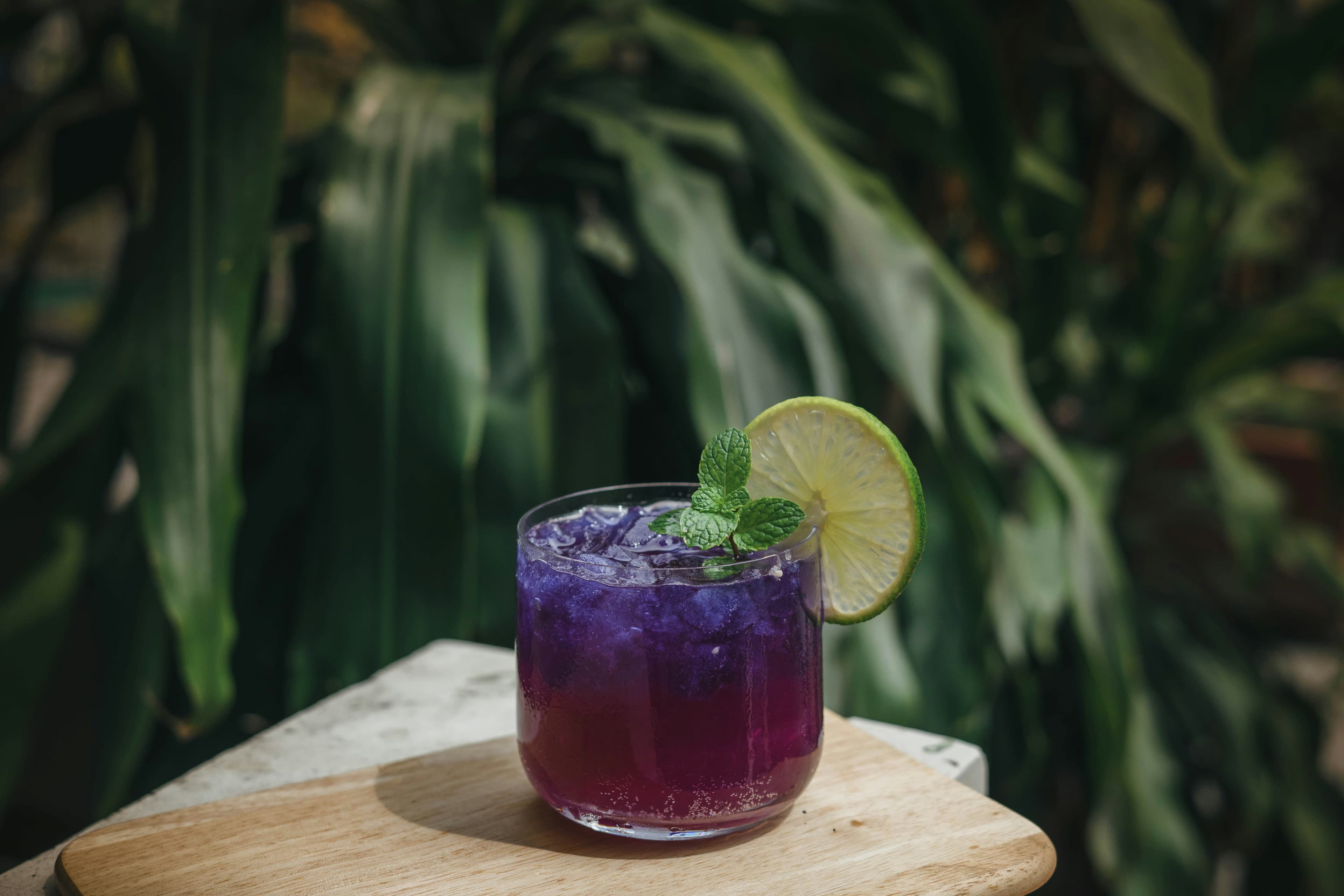 Undoubtedly, purple honey has sparked the interest and curiosity of many mixologists who dabble with different ingredients to prepare some curiously delicious mixes. 