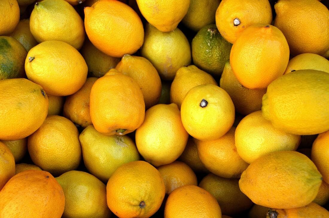 How To Grow Lemons At Home: Tips For Your Bartender's Garden