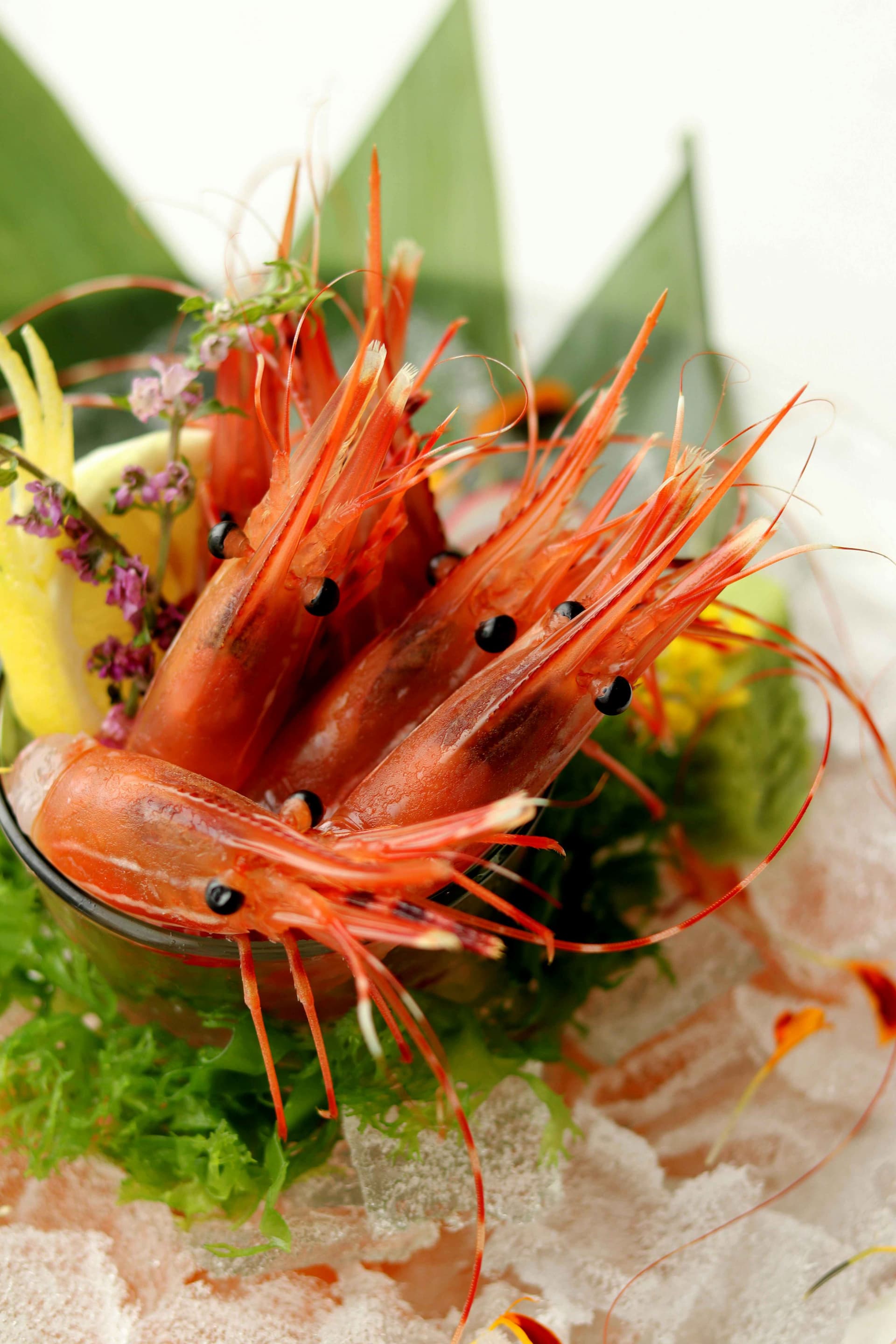 Modern Twists on Prawn Cocktails for Your Next Soirée That Will Impress Your Guests