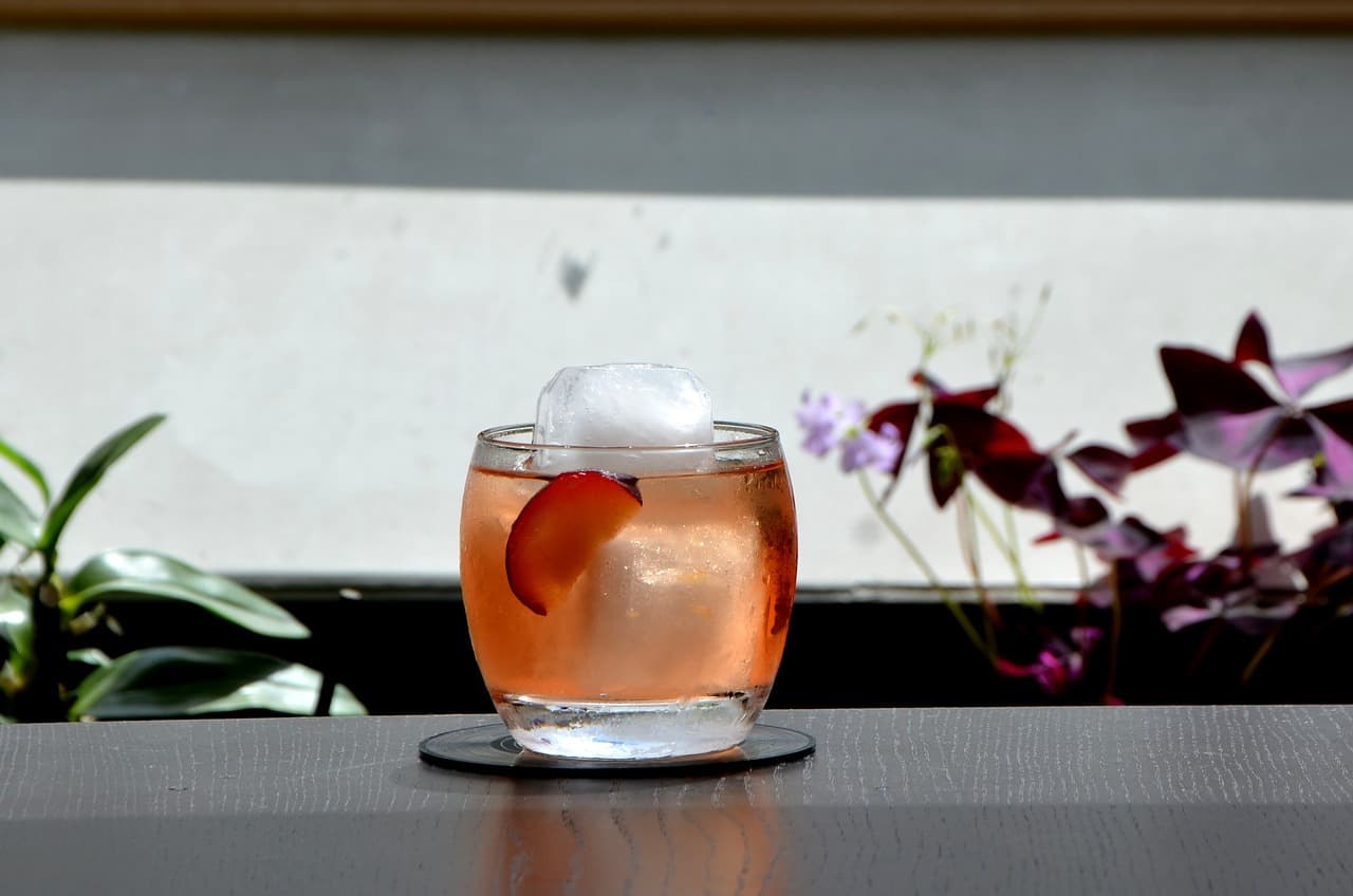 negroni cocktail