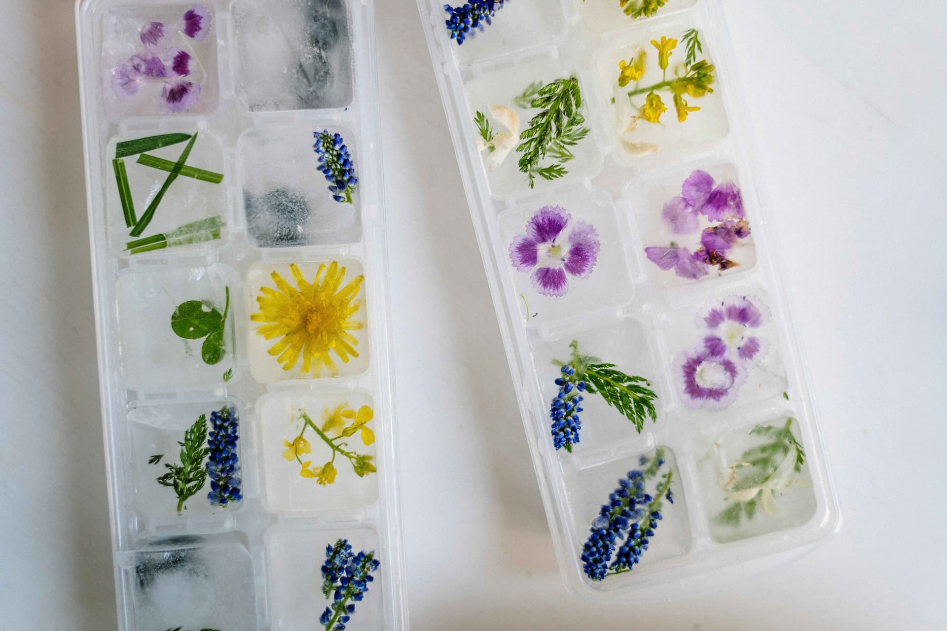 The Art of the Infused Ice Cube: Creative Ways to Enhance Your Drinks