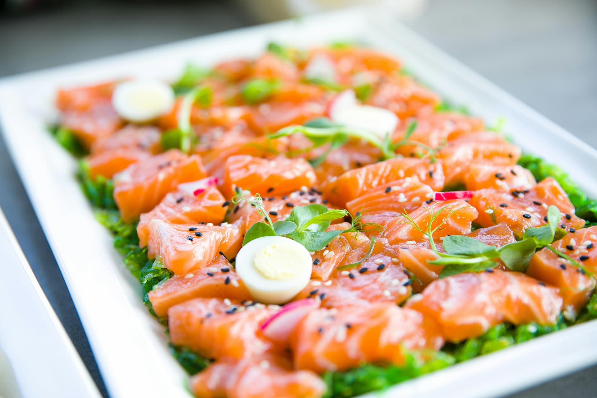 Salmon bites