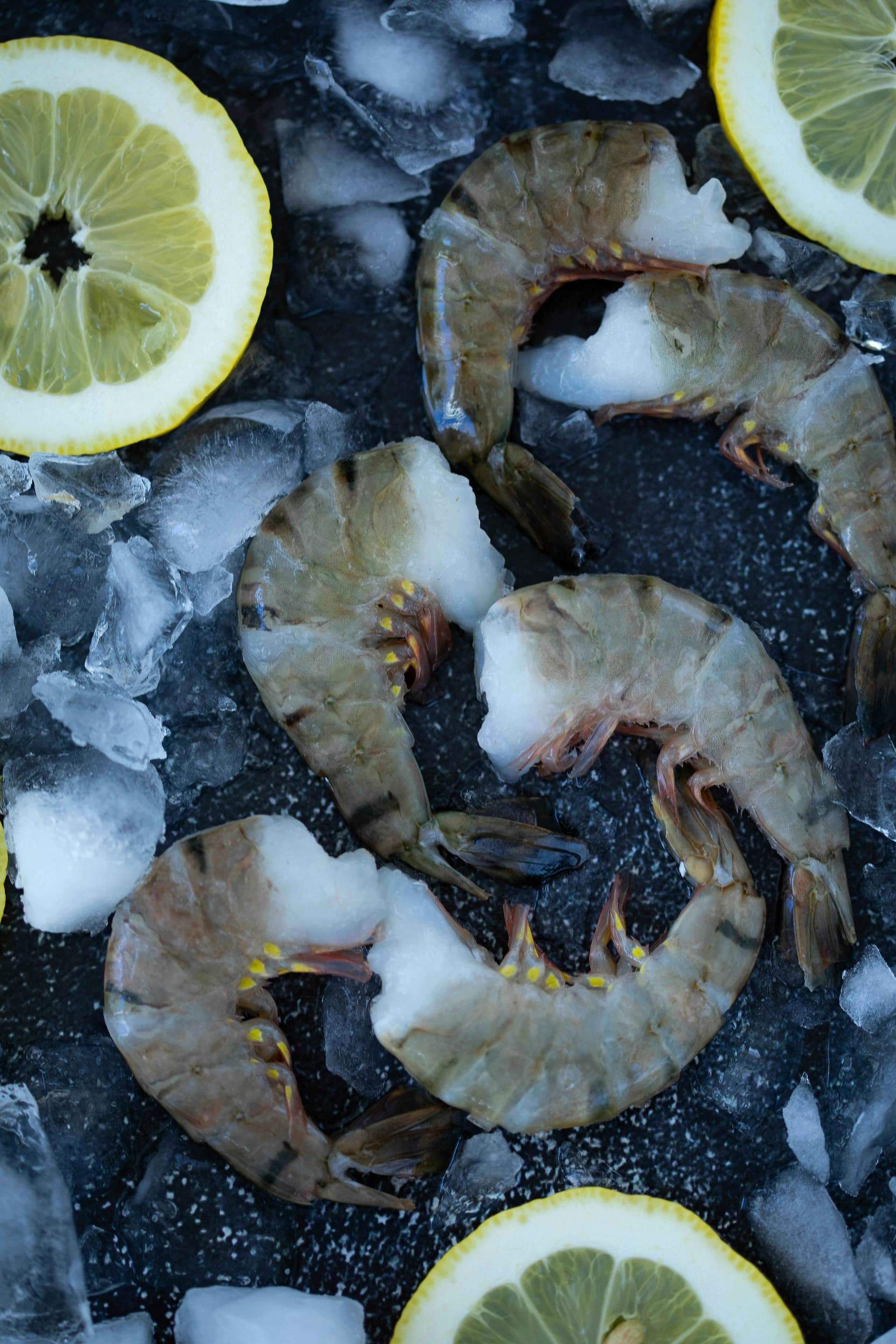 Fresh Vs Frozen: How To Choose The Best Prawns For Cocktail Recipes