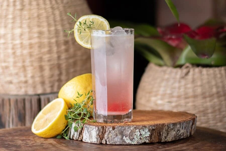 Must-Try Twists on Gin and Tonic Cocktail Cover 