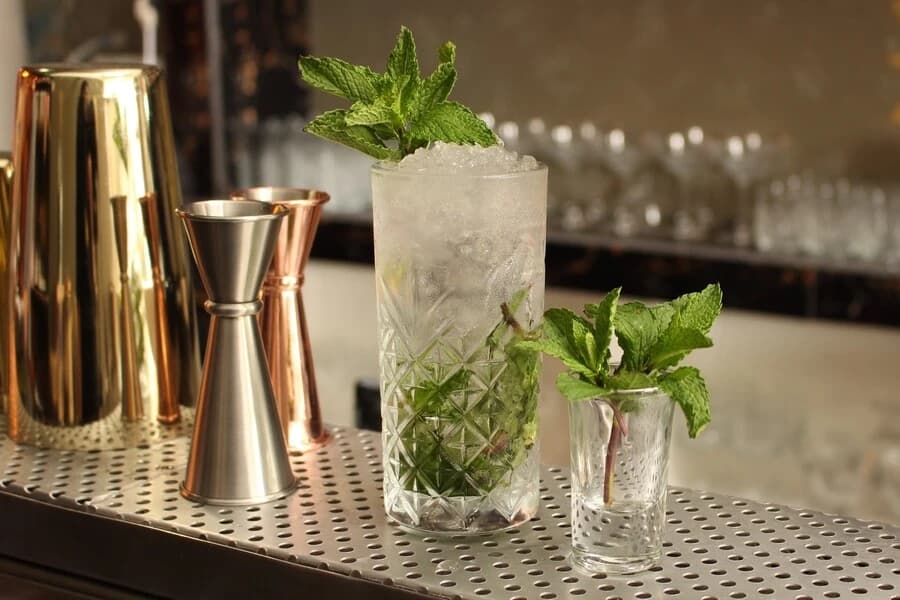 5 Must-Try Cocktail Recipes for Mojito Cocktail Lovers Cover 
