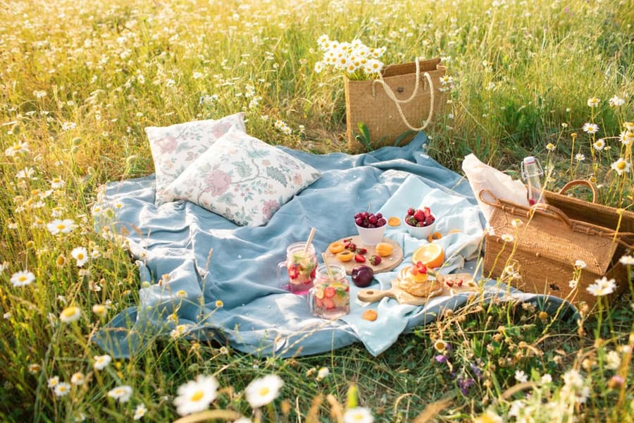 How To Host The Ultimate Vegan Picnic Cover 