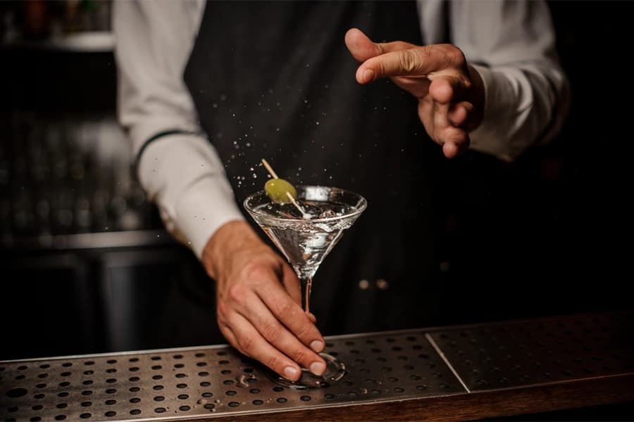 Martini Cocktails cover 