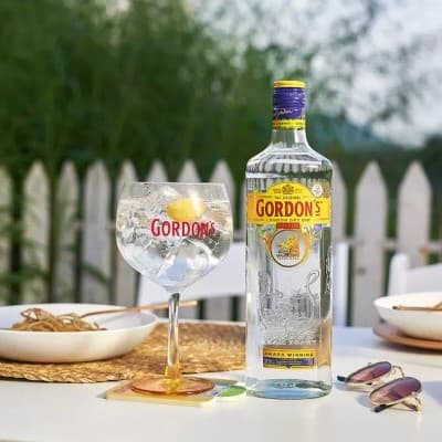 gordon&#039;s london dry gin 