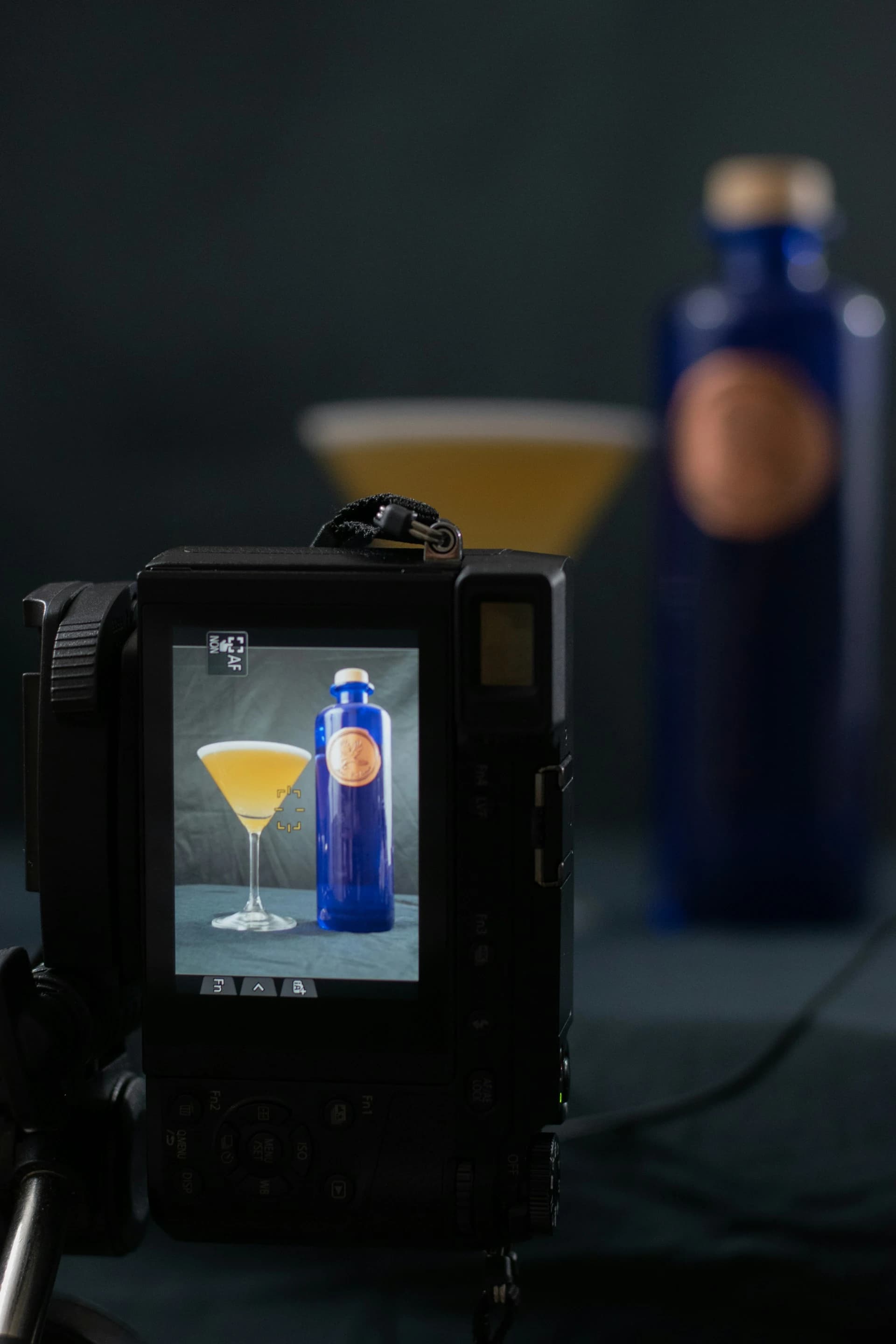 cocktail photography props 