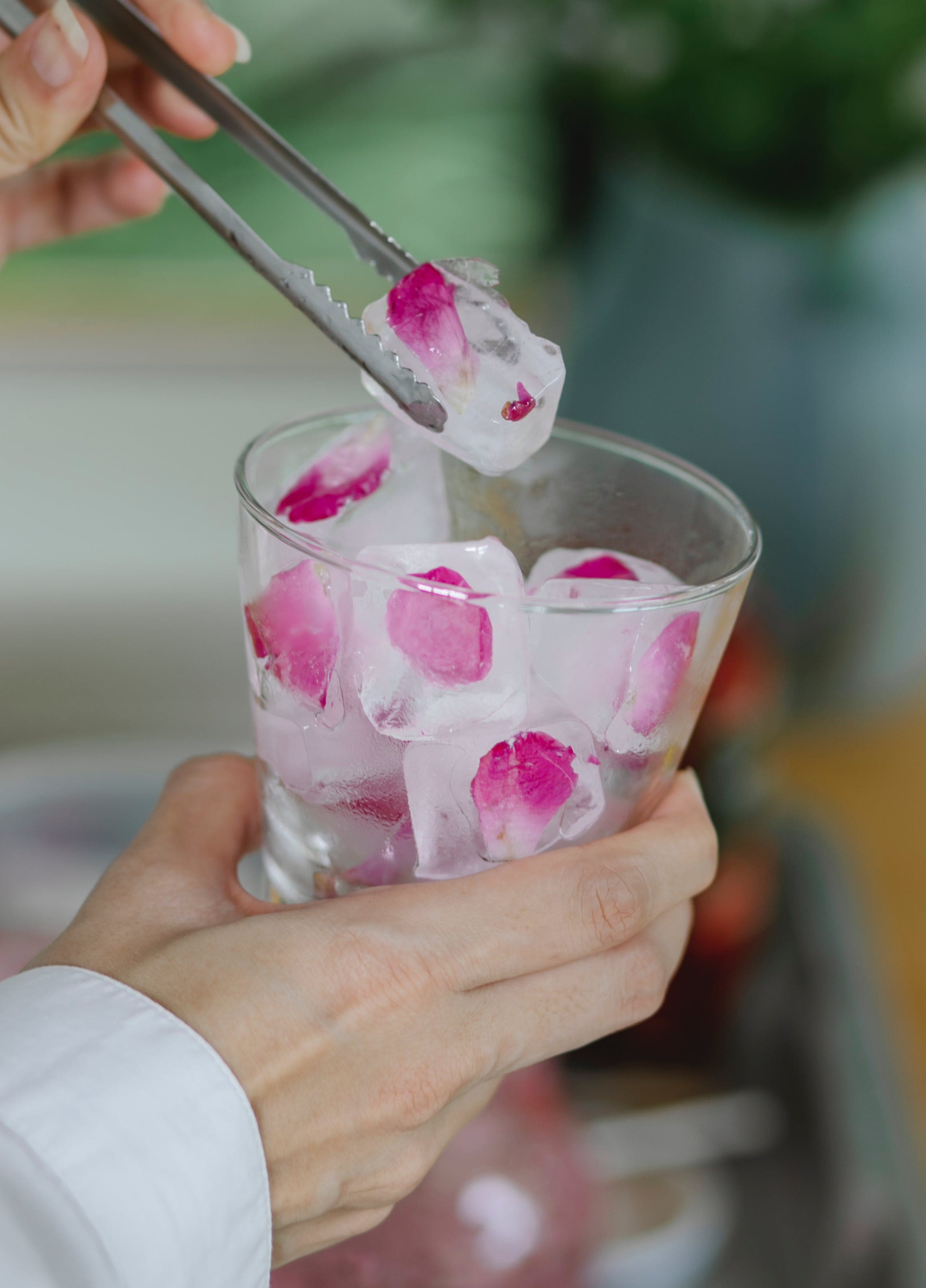 rose petals and ice cubes 