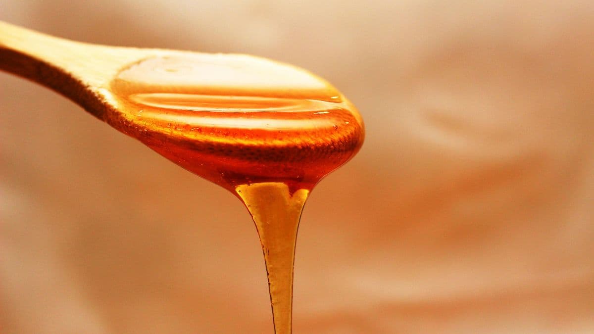 Lemon Pop And Syrup