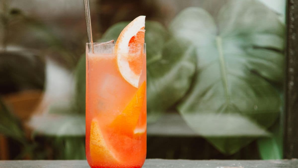 Gin’s Botanicals