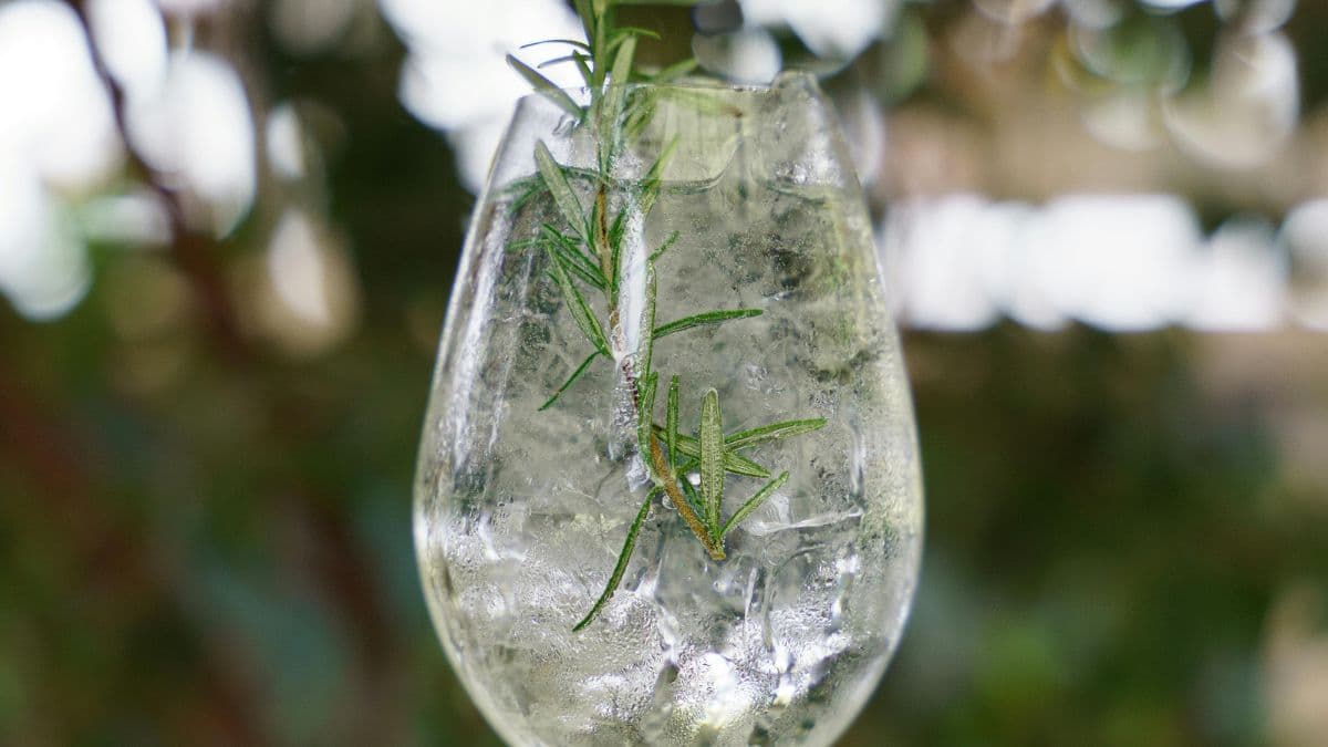 Gin’s Botanicals