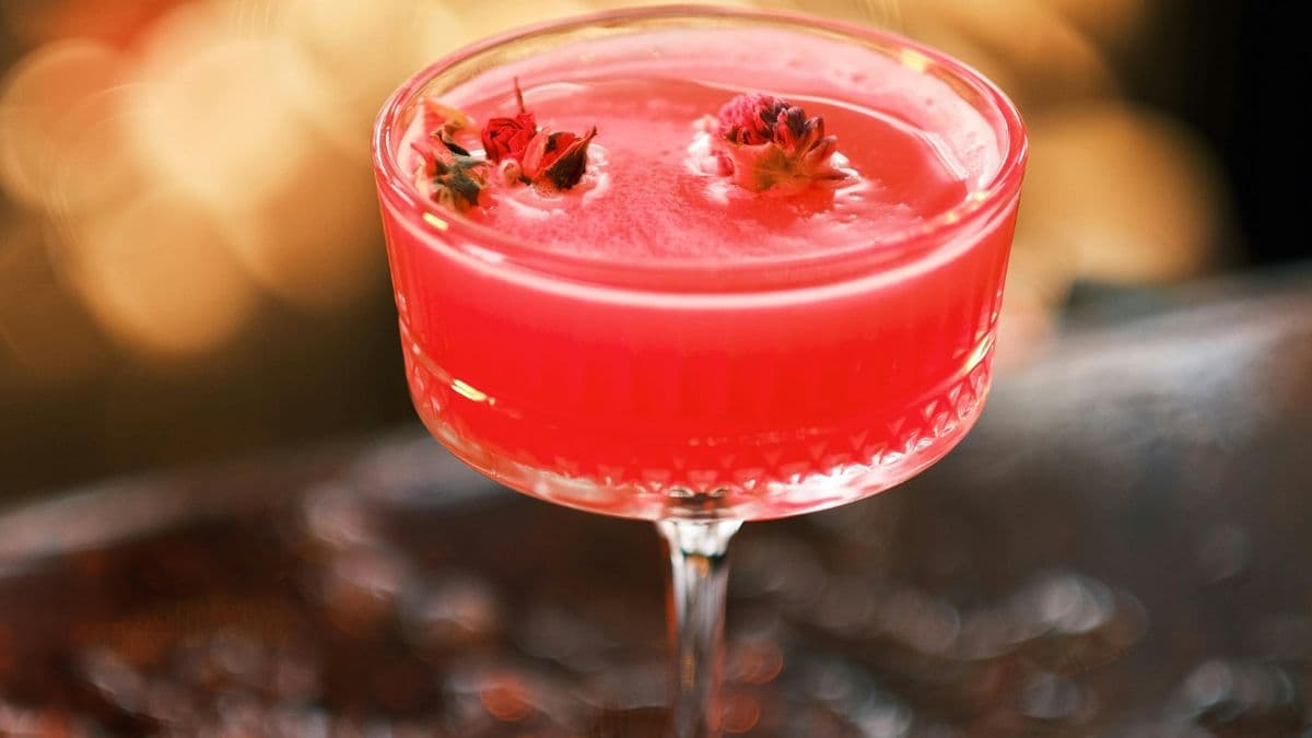 Craft Cocktails, Pantry Starts Running Out Of Ingredients