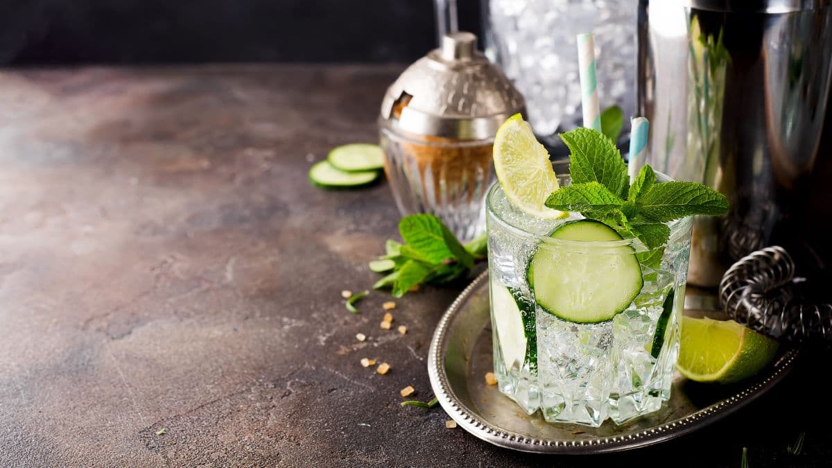 Elderflower Gin Fizz