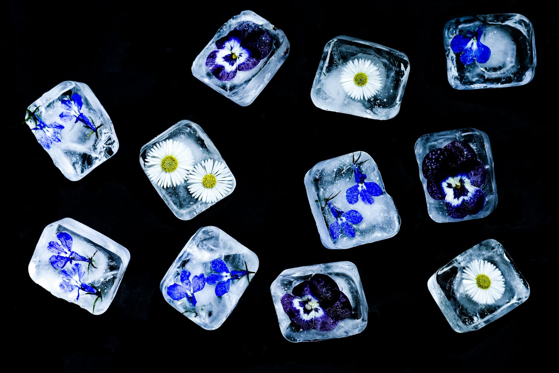 DIY Flavoured Ice Cubes