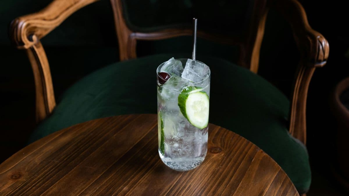 Gin & Tonic, Cubed Vs Crushed, Ice