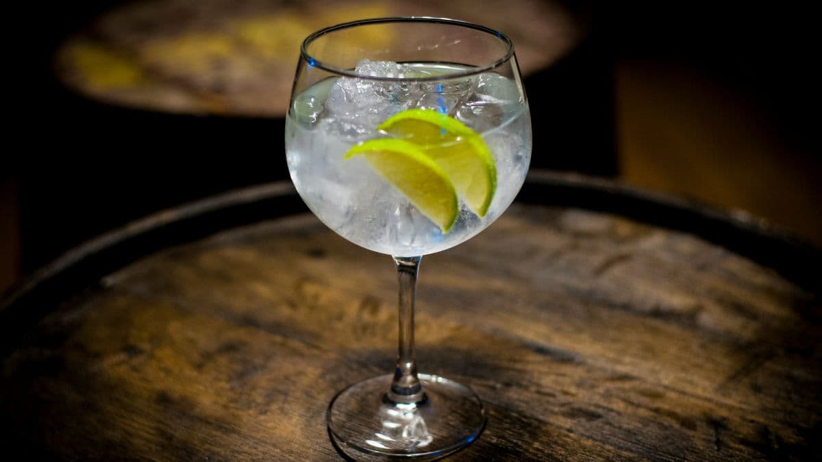 Gin & Tonic, Cubed Vs Crushed, Ice