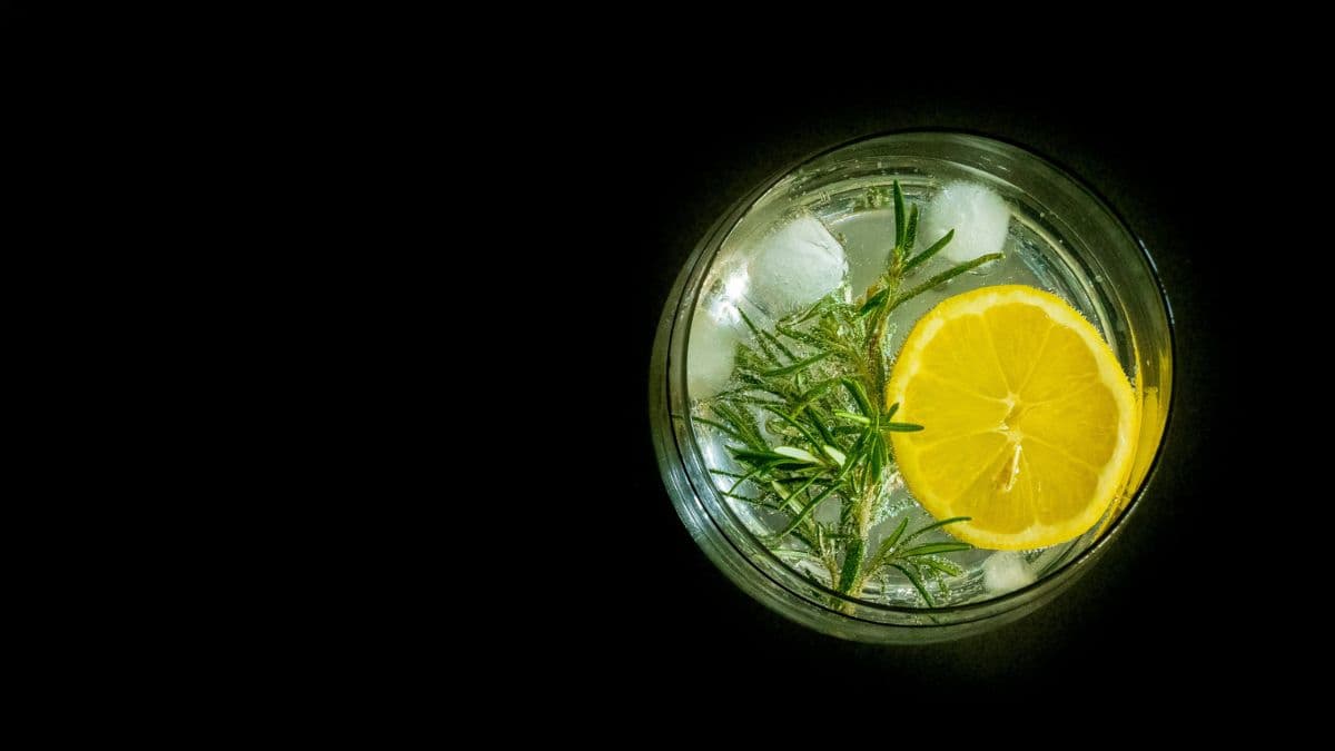 Gin & Tonic, Cubed Vs Crushed, Ice