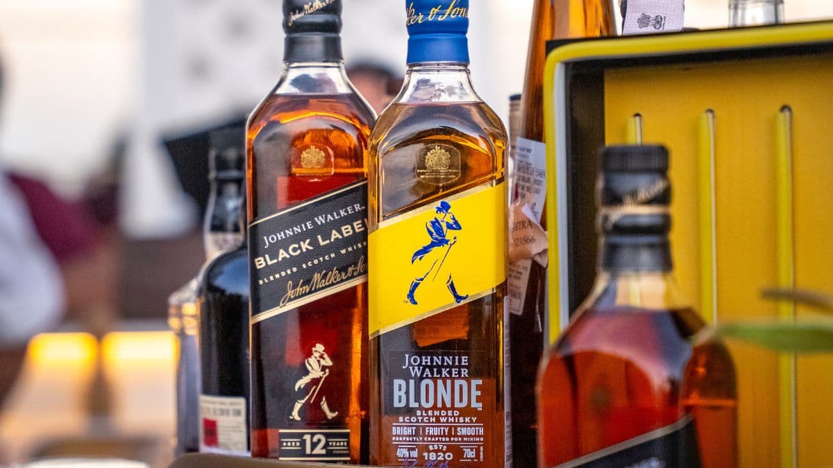 Bar Chronicles Mumbai