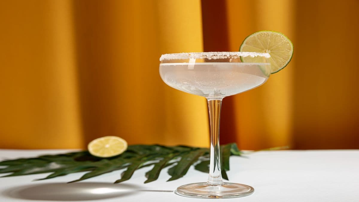 Margarita Cocktail The Mixology Standard