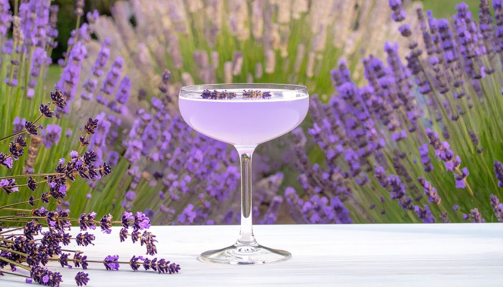 Lavender Into Cocktails And Mocktails