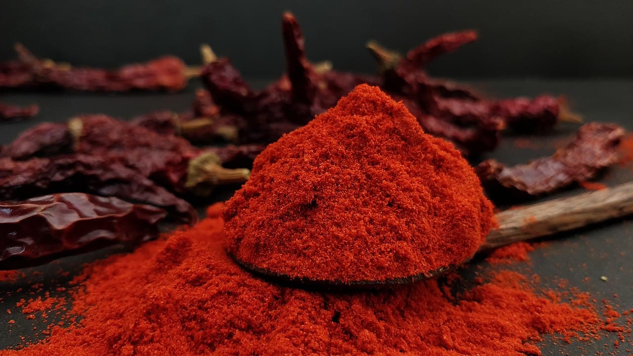 byadgi chilli powder