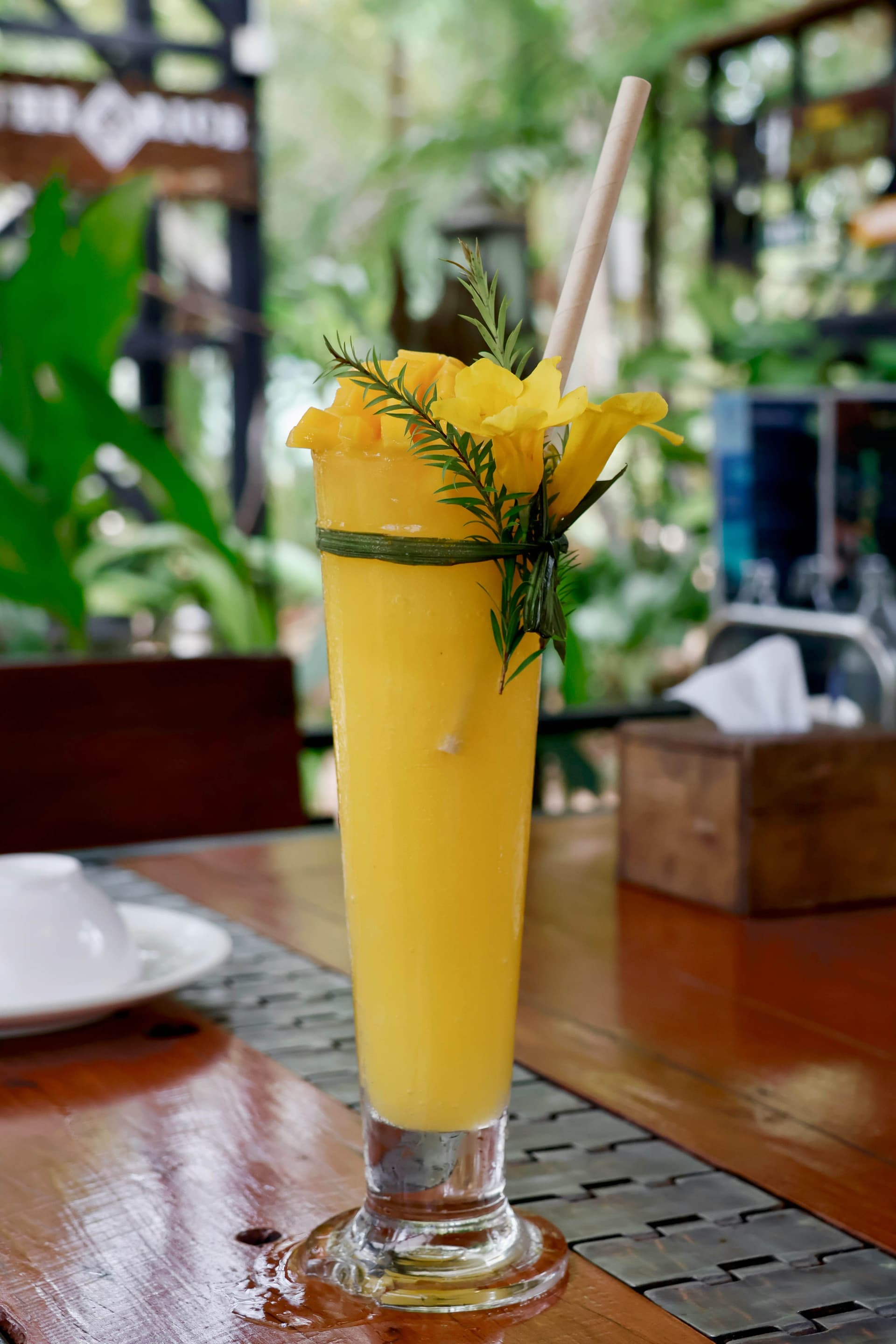 5 Coconut Feni Cocktails That Celebrate Goa’s Local Spirit with a Tropical Twist
